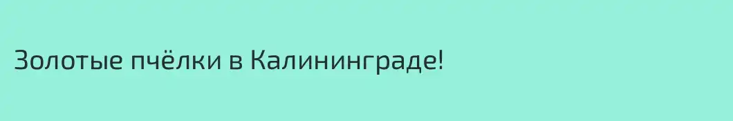 Золотые пчёлки в Калининграде!